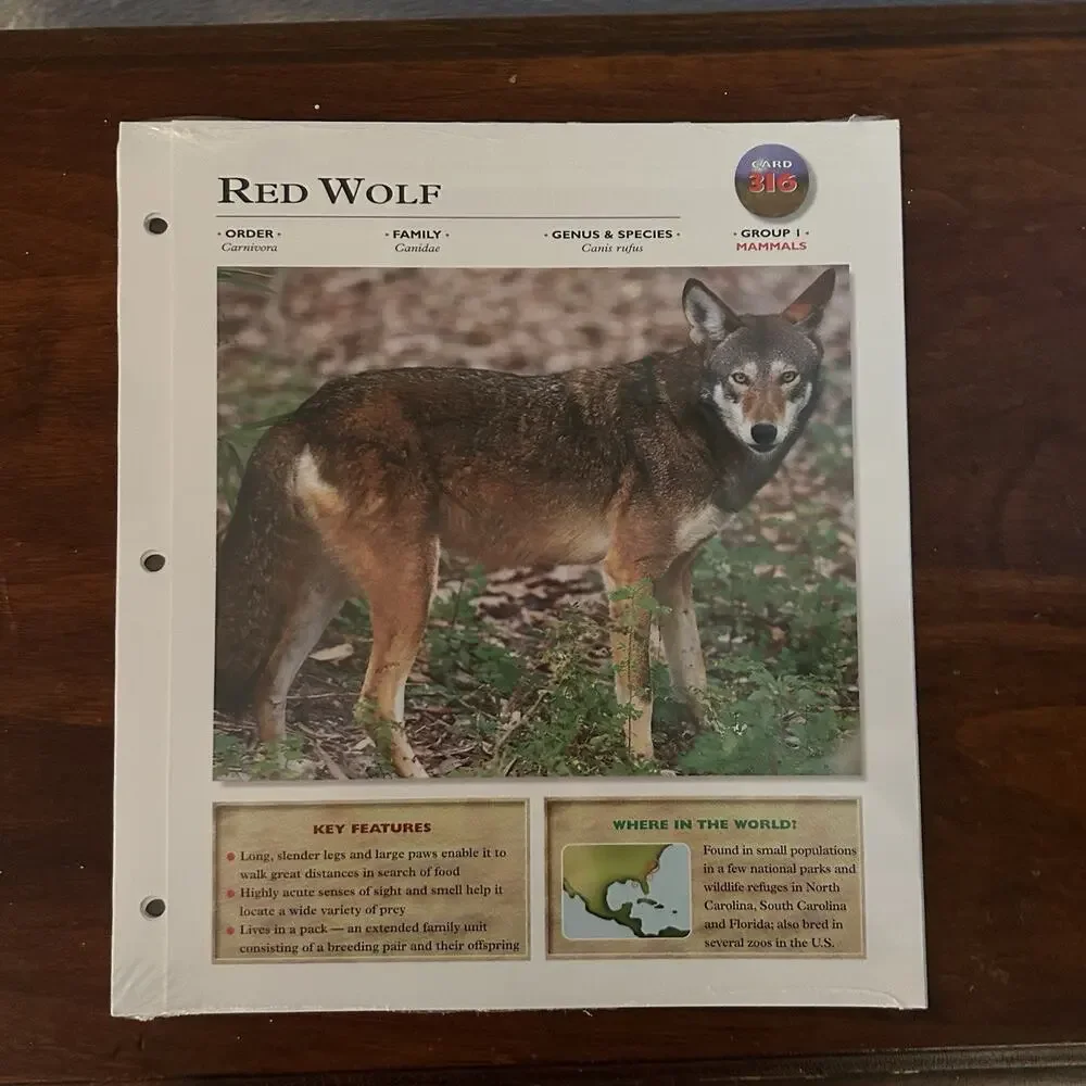 Vintage 1999 NOS Wildlife Explorer Pack 89 Mammals Red Wolf